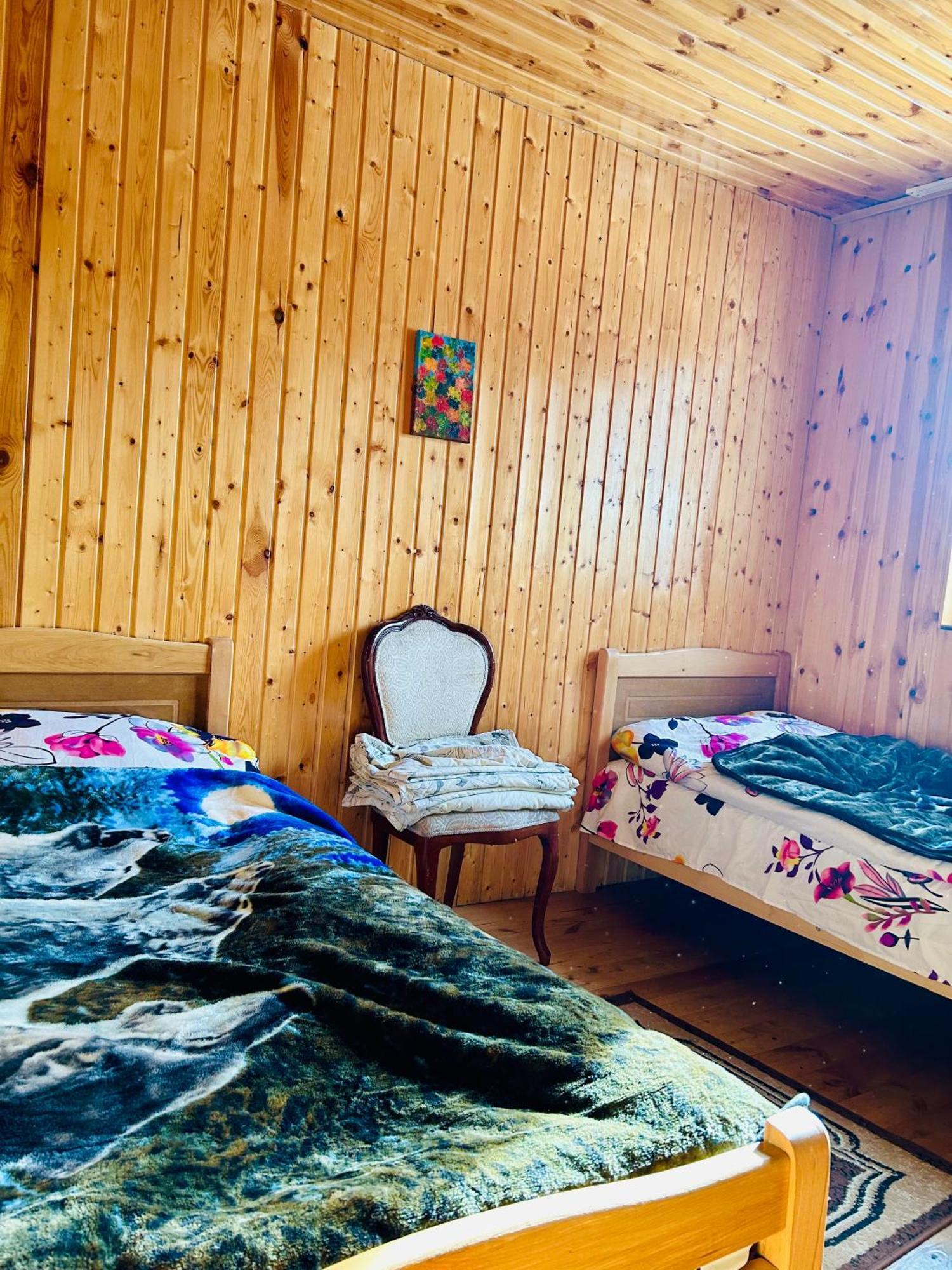 Natia'S Guesthouse Adishi Zewnętrze zdjęcie